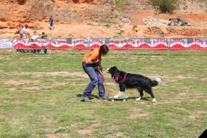 Lee más sobre el artículo Bicis, skates, patinetes….¡Qué hago!