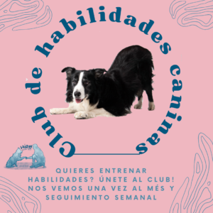 Club de habilidades CANINAS