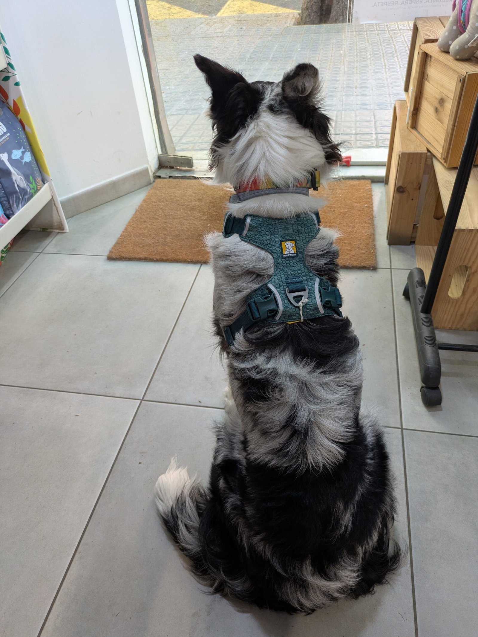 Arnés Ruffwear Front Range Flex - Imagen 6