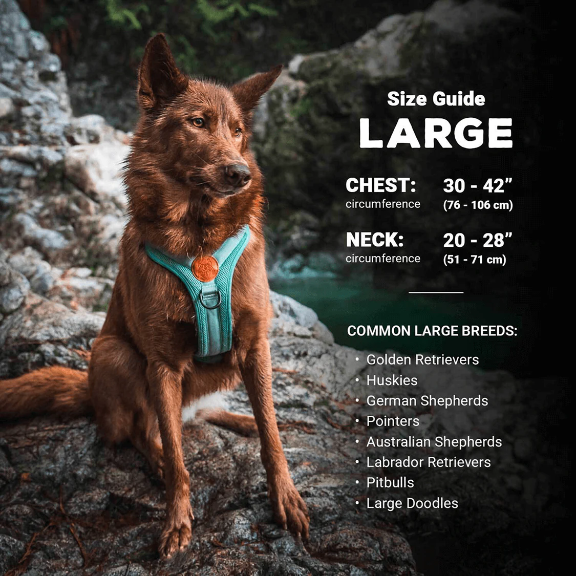 Arnés Wilderdog - Imagen 13
